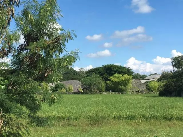 640-18_爱奇艺